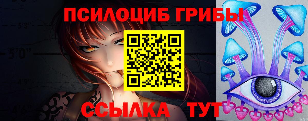 Галлюциногенные грибы прущие грибы  Вход с VPN  Аша 